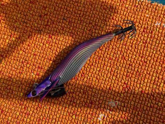 40gのエギをメインで使用しシンカーを追加でセットする。 &copy;釣りビジョン