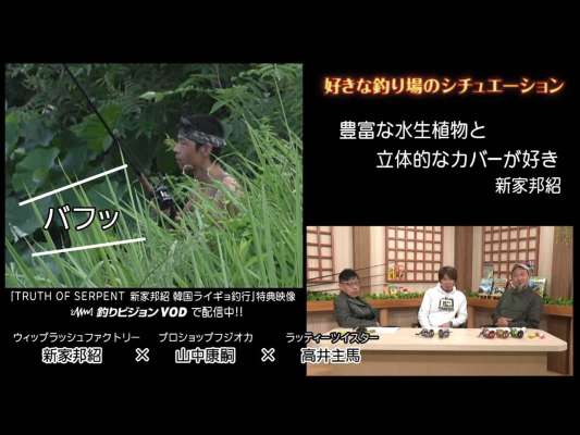 好きな釣り場のシチュエーション。「豊富な水生植物と立体的なカバーが好き」だと言う新家の過去映像に注目だ！高井も新家と同じく、「ヒシに覆われた難易度の増したフィールドが好き」だと。2人は小さめのフロッグを愛用し、ヒシのちょっとしたスペースを見つけて奥まで飛ばすこと、また隙間にどれだけ入れるか、がポイントなのだそうだ。一方、山中は大型のフロッグを使いサイトフィッシングでの呼吸打ちを好み、「釣れない呼吸を釣りたい！」と。&copy;釣りビジョン