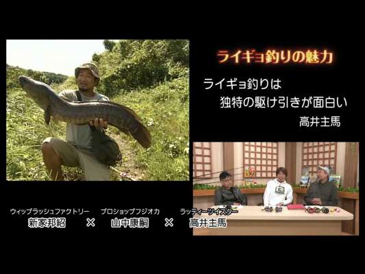 ライギョの魅力について。高井「喰うまでの間が何よりも魅力。独特の駆け引き、その間の違いで命運が分かれるのが面白い」。 山中「状況を自分で判断して言い訳する要素が少ないところがいい」。新家「水生植物が揺れる瞬間が最大の魅力。魚とルアーの距離が近くてすごく長い時間が経過するというのは、他の釣りではほぼないライギョならでは」。&copy;釣りビジョン