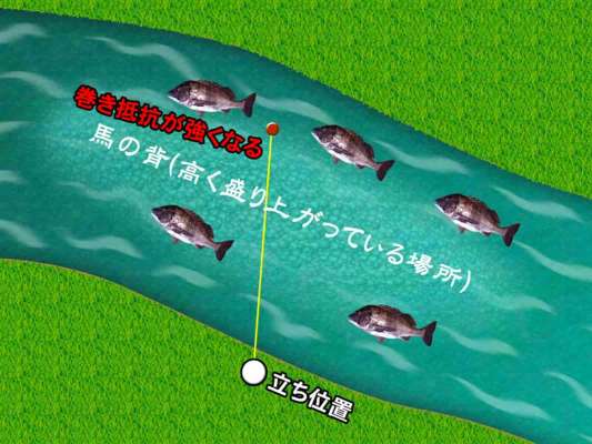馬の瀬の向こう側へキャストし、巻き抵抗が強くなる駆け上がり、そしてテンションが抜ける落ち込み、と2つのスポットを重要視しながら釣っていく作戦！ここで3匹目となる魚をゲット！誘いは、ボトムを跳ねさせるボトムバンピング。ワームはアームが長いものを使用。 &copy;釣りビジョン