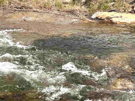 群れが流れに詰まり上流へと移動開始！ &copy;釣りビジョン