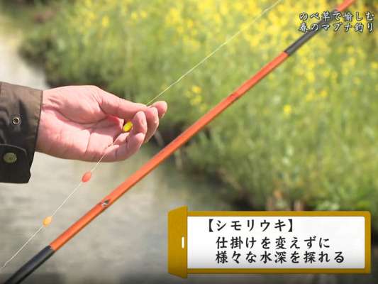 7本継11寸のマブナ竿。道糸1.2号・ハリス0.8号・フナバリ6号・板オモリ。そして、カラフルなシモリウキを4つぐらい付ける。オモリは底に着かせるが、水深がポイントごとに違うため、ウキの位置を都度、調整することが大切。水中に1個半～2個沈む感じに合わせると良い。&copy;釣りビジョン