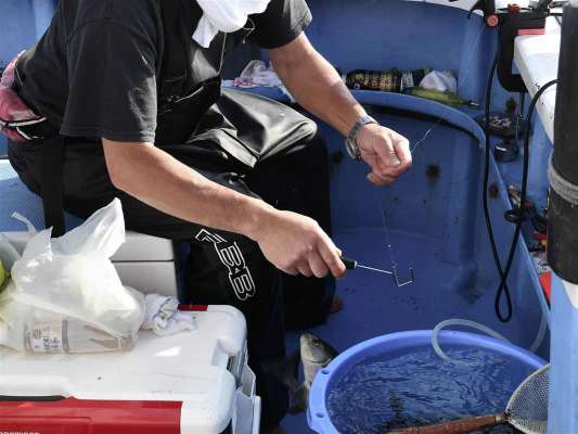 針外しは釣果アップの必需品。 &copy;釣りビジョン