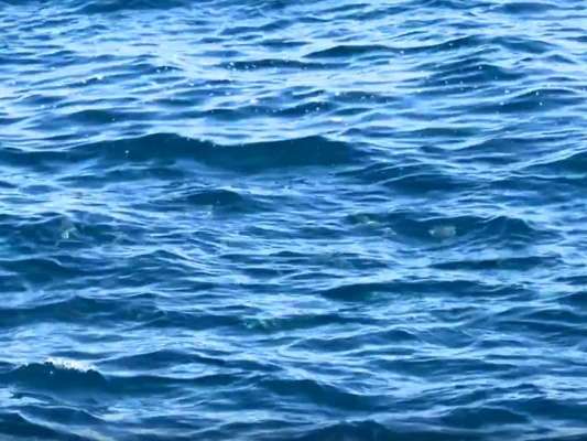 沖に無数の湧きグレが！日本海ではなかなか見られない光景とのこと。&copy;釣りビジョン