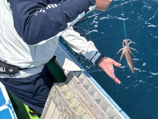 釣り座を問わず触りのある時合いが訪れ…。 &copy;釣りビジョン