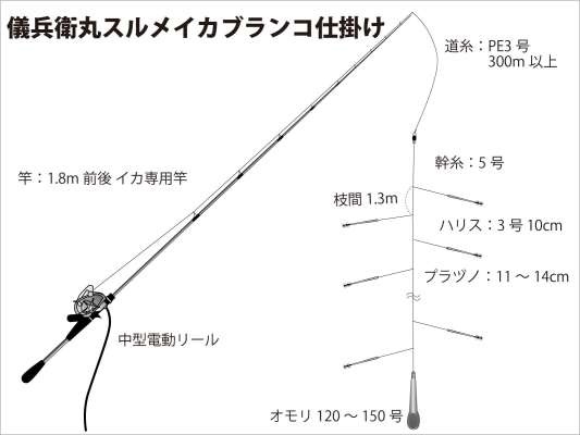 『儀兵衛丸』スルメイカ・ブランコ仕掛け図。 &copy;釣りビジョン