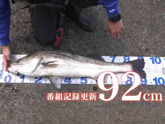番組記録更新となる、92cmの〝巨鱸〟 &copy;釣りビジョン