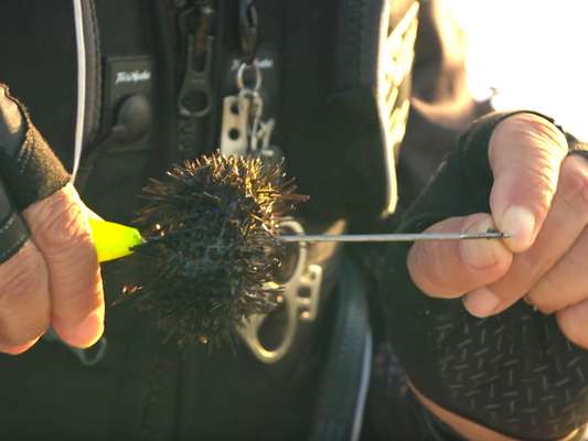 今回、シロモッチはガンガゼを使用。餌は時期・餌取りなどによって使い分ける。 &copy;釣りビジョン