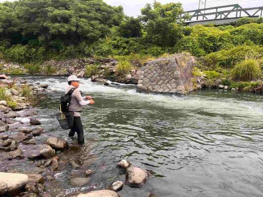 朝からアユルアーの釣り人で賑わい好調。 &copy;釣りビジョン