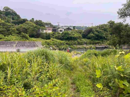 上下流とも、昨年とは少し川相が変わっている。河原の石は不安定なものも多いので川歩きは慎重に。 &copy;釣りビジョン