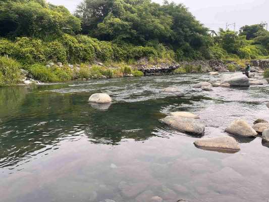 〝鵜よけライン〟が多いので、釣りや移動の際は引っかからないようにご注意を。&copy;釣りビジョン