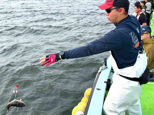 魚が水面に上がったら、竿を立てて抜き上げる。 &copy;釣りビジョン