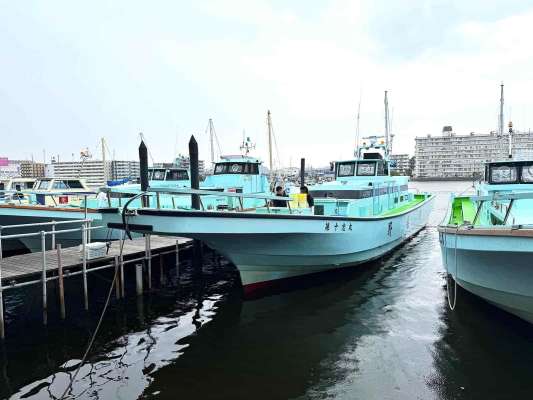 入門の好機、湾フグを始めるなら今がおすすめ！ &copy;釣りビジョン