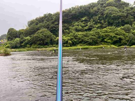 こんなところから！橋上左岸で粘りに粘った！終わってみればすこぶる元気なオトリが2匹…。 &copy;釣りビジョン