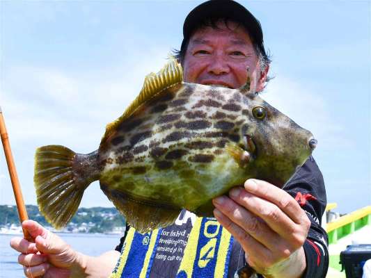 自己記録更新の34cm。 &copy;釣りビジョン
