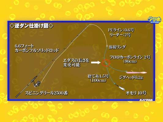 仕掛けは、魚の活性に合わせてエダスの長さが変更可能な逆ダン仕掛け。リーダーを溶接リングに結び、捨て糸にオモリを付けるだけの簡単な仕掛けである。 &copy;釣りビジョン