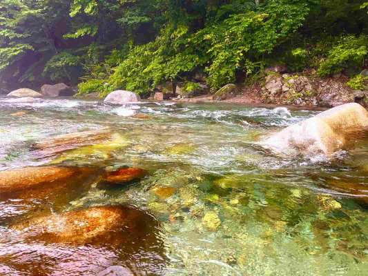 圧倒的な透明度！栃木の清流大芦川には香り高き鮎が待っている！ &copy;釣りビジョン