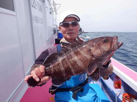 マハタ2kgをキャッチ。食味も良い人気魚。 &copy;釣りビジョン