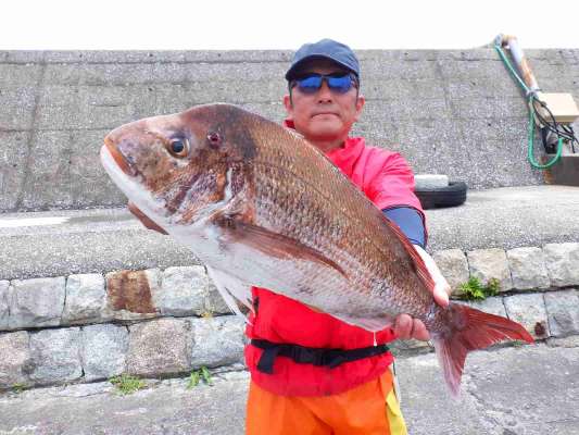 下船後の記念撮影【1】。3.1kgの大型マダイ。 &copy;釣りビジョン