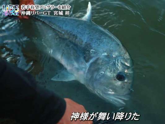 開始5分。「ジョイクロ178」に喰ってきたGT。橋脚際に投げてアクションさせ、排水口近くでヒット。「足元まで引ける場所だったから釣れた」と言う。まさに神が舞い降りた瞬間だった。この後も驚くほど足元でGTが姿を見せる。 &copy;釣りビジョン