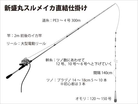 『新盛丸』スルメイカ直結仕掛け図。 &copy;釣りビジョン
