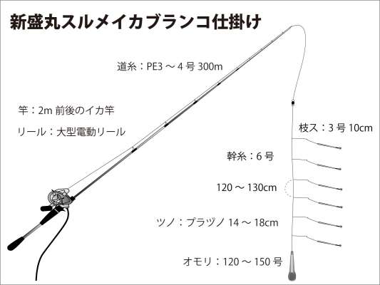 『新盛丸』スルメイカブランコ仕掛け図。 &copy;釣りビジョン