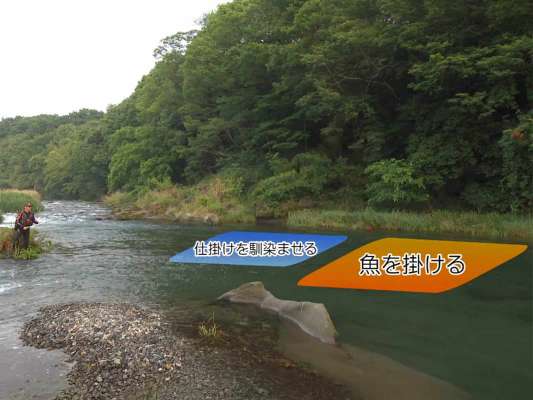 目印の位置はオモリから約1.5m。速い流れの一本手前の筋を狙う。自分の正面からやや下流までは魚を掛けようとせず、竿を立てて仕掛けを馴染ませる。自分より下流に来たら竿の送りを止めて自然の流れに乗せ、魚を掛ける操作にシフトしていく。竿の送り方ひとつで、仕掛けの馴染み方が変わるのだ。 &copy;釣りビジョン