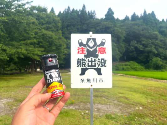 ここ姫川周辺でも熊の目撃情報が！充分気をつけて釣りを楽しんでほしい！ &copy;釣りビジョン