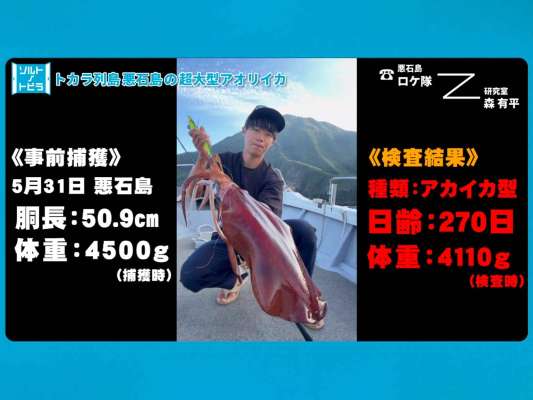 釣り上げたイカを研究している穴澤船長。生態研究、そしてエギの開発に繋げているという。 &copy;釣りビジョン