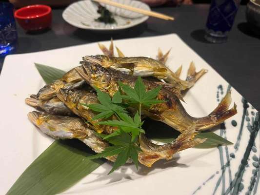 釣りたての庄川鮎は絶品。身が締まり香り高く、骨や皮は柔らかく頭から丸かじり！富山の日本酒と至福の時間！ &copy;釣りビジョン