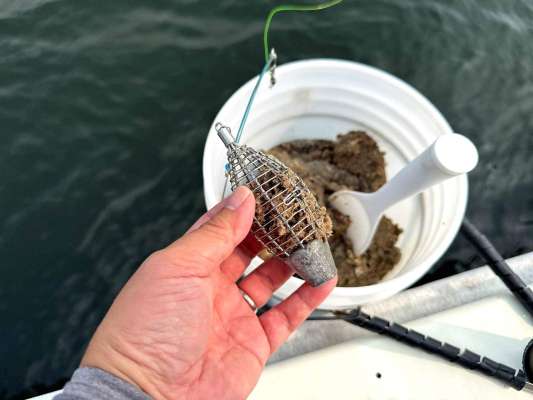 撒き餌はイワシのミンチ、これをコマセカゴに入れる。 &copy;釣りビジョン