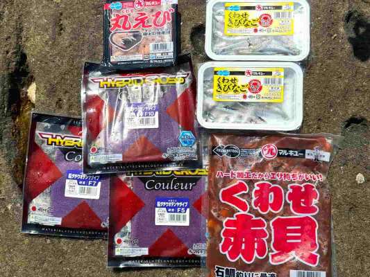 当日用意したつけ餌。この他、生のキビナゴと豆アジも用意した。 &copy;釣りビジョン