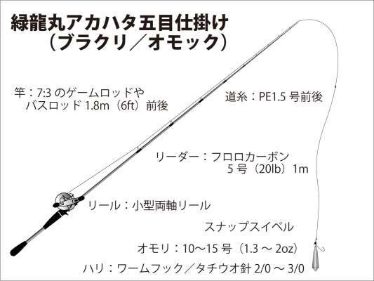 『緑龍丸』アカハタ五目仕掛け（ブラクリ／オモック）。 &copy;釣りビジョン