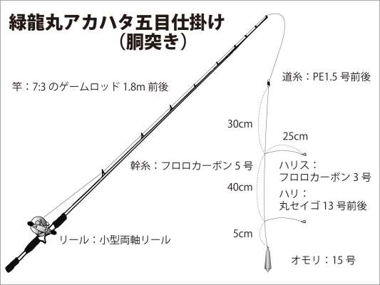 『緑龍丸』アカハタ五目仕掛け（胴突き）。 &copy;釣りビジョン