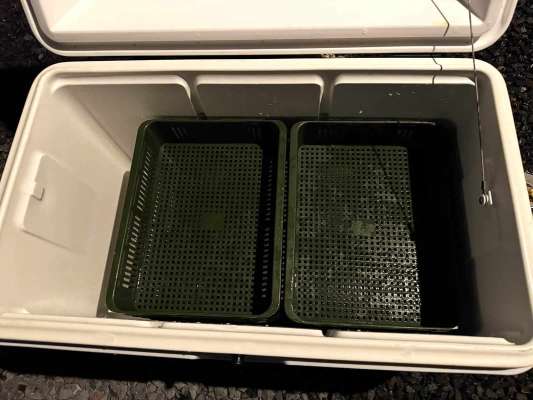 釣れたイカはジップロックに入れ百均トレーに収納。&copy;釣りビジョン