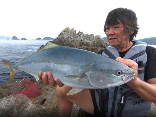 のべ竿で青物まで仕留めてしまう！ &copy;釣りビジョン