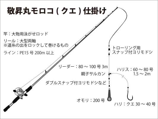 『敬昇丸』モロコ（クエ）仕掛け図。 &copy;釣りビジョン