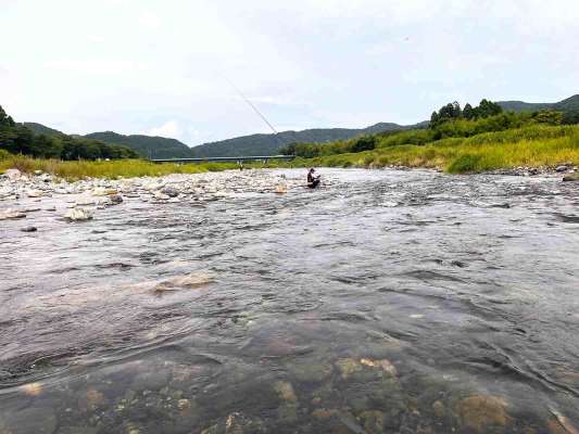 瀬も浅くなり川は超渇水！しかし川は鮎だらけ。 &copy;釣りビジョン