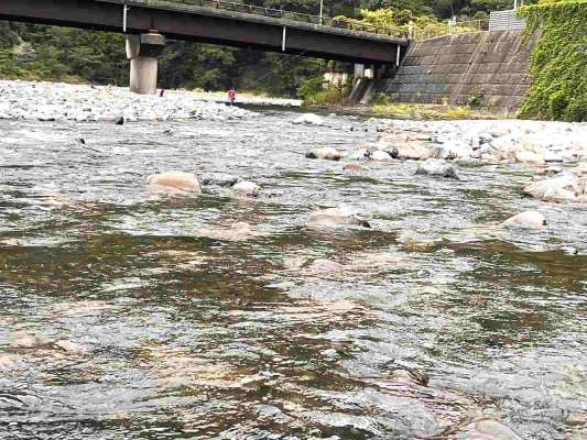 垢付きも良く流れには多くの追い気の強い鮎が！ &copy;釣りビジョン