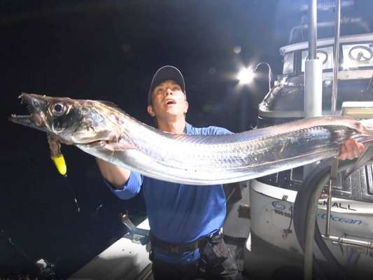 ボトムから3m。しっかり掛けられるアタリを待ち、ヒットへと持ち込んだ。暴れる魚の引きは竿の弾力でいなし、一定のスピードを保ちながら巻き上げていくことが大切とのこと。初のギャフも登場した魚は、尻尾は切れてしまっていたが、推定140cmオーバーのドラゴンだった。これでも錦江湾では小さめのサイズと言うのだから驚きだ。 &copy;釣りビジョン