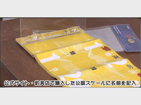 公認スケール。「SDGsまなび館オンラインショップ」ほか、JB・NBC公認グッズ取扱店などで購入可能。&copy;釣りビジョン