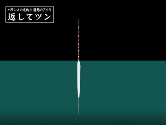 「バランスの底釣り」とは、オモリを中層に浮かせた状態で上バリと下バリ両方を底に付ける釣り方。理想のアタリと言われる「返してツン」とは、底でエサが馴染みつつフワフワとさわりを出しながらウキが返し、食べ頃になったところでウキがツンと動く鋭く早いアタリ。 &copy;釣りビジョン
