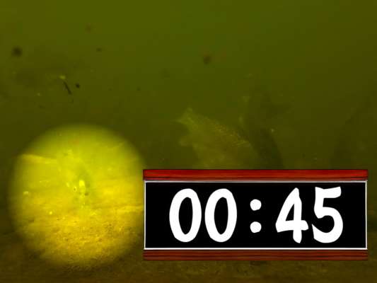 アタリが出たが空振りとなってしまった時の水中映像を確認すると、ハリに付いたエサを口に吸い込み、吐き出すまでの時間はなんと0.45秒。1秒に満たない僅かな時間だ。その一瞬を逃さぬよう神経を研ぎ澄まさなければならない。それにしてもどんな仕組みでハリを見極めているのだろうか？&copy;釣りビジョン
