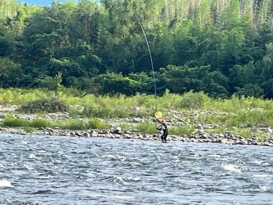 強烈パワーの吉野鮎は1匹1匹、ガチンコ勝負！ &copy;釣りビジョン