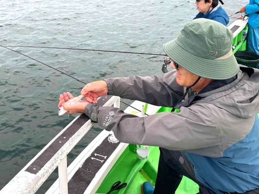 小型のマダイは優しく海へリリース。 &copy;釣りビジョン