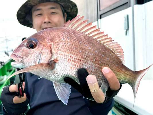 浅場で数釣り、手軽にマダイ釣りを楽しめる、秋の日立沖。 &copy;釣りビジョン