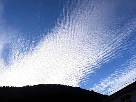 長良の空に広がるウロコ雲！夏は一瞬で通り過ぎ鮎の終わりを告げる秋が訪れていた！ &copy;釣りビジョン