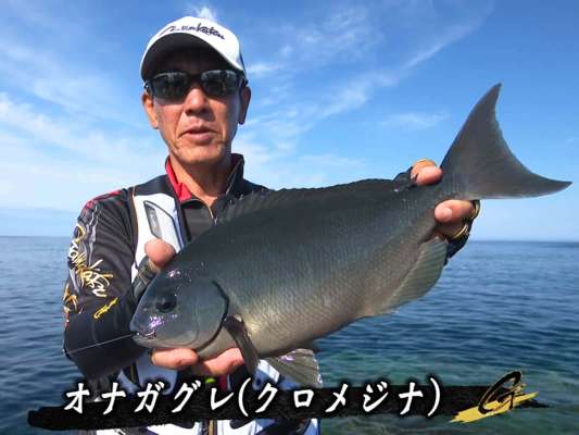 試行錯誤の末、たどり着いた40cmクラスの尾長グレ！ &copy;釣りビジョン