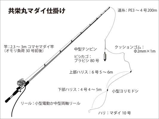 『共栄丸』マダイ仕掛け図。 &copy;釣りビジョン