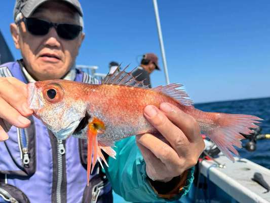 気付けば船中全員安打、期待は高まる！ &copy;釣りビジョン